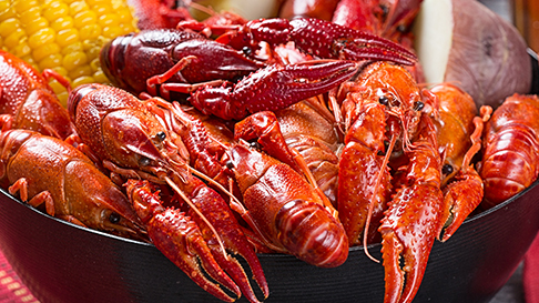 Crawfish