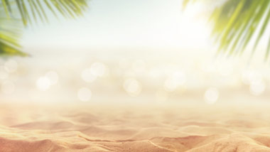 sandy beach with water and palm trees
